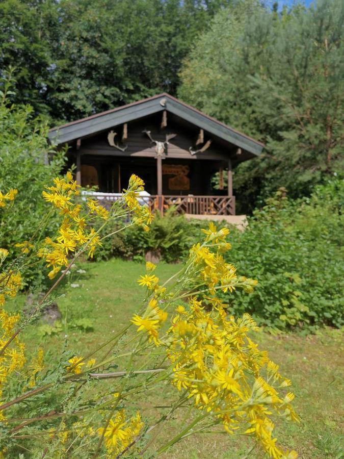 Blockhaus Am Twistesee Mit 3 Schlafzimmern Bad Arolsen Kültér fotó