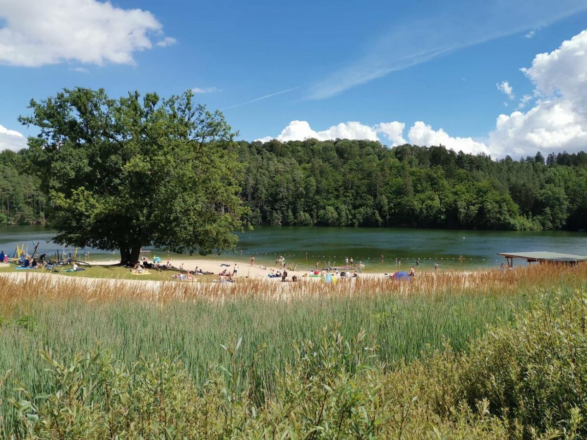Blockhaus Am Twistesee Mit 3 Schlafzimmern Bad Arolsen Kültér fotó