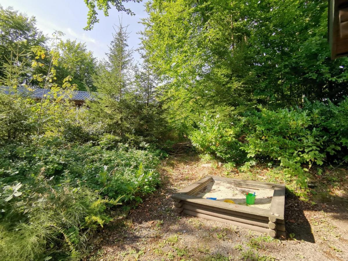 Blockhaus Am Twistesee Mit 3 Schlafzimmern Bad Arolsen Kültér fotó